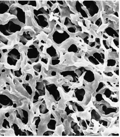 Мембрана, d пор 0,45 мкм, d мембраны 47 мм, поливинилиденфторид (PVDF), гидрофильная, не стерильная, 100 шт