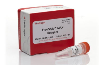 Gibco (Thermo Fisher Scientific) – широкий спектр реагентов для работы с клеточными культурами