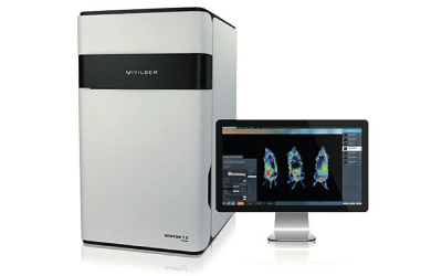 Перспективы применения оптической 3D томографии IN VIVO