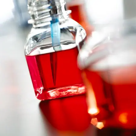 Среда для культивирования Endothelial Cell Growth Medium, 500 мл, Sigma-Aldrich (Merck)