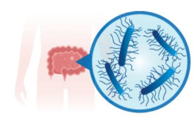 How does Interscience facilitate microbiota analysis