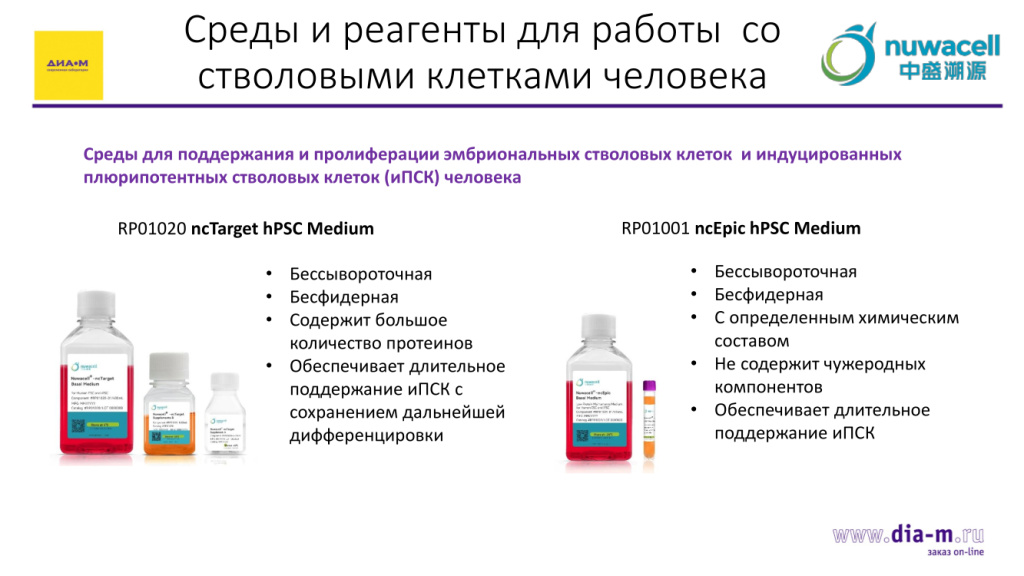 Среда для поддержания плюрипотентных стволовых клеток человека