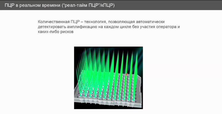 ПЦР в реальном времени