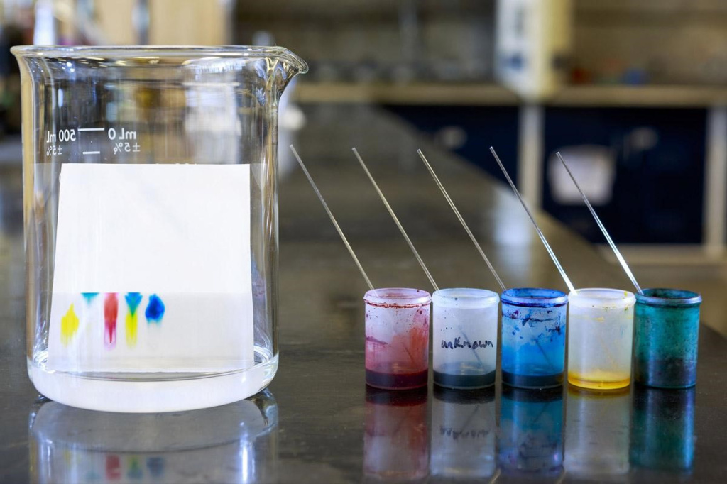 Вода течёт вверх: тонкослойная хроматография