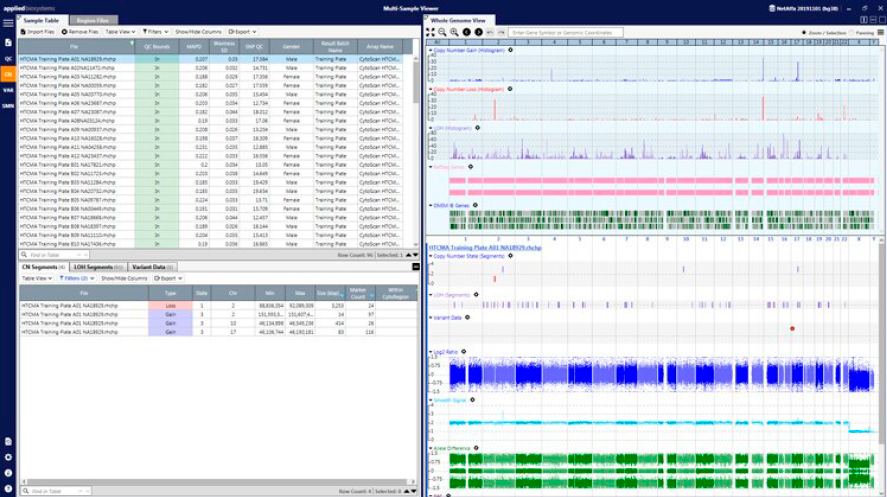результаты работы программного обеспечения в программе ChAS
