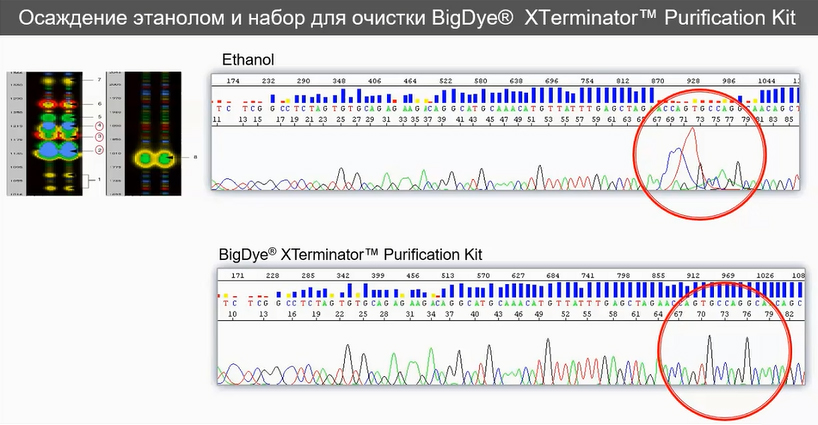 Осаждение этанолом и набор для очистки BigDye Xterminator Purification Kit