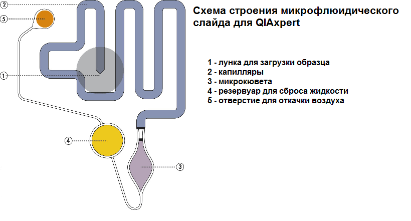 принцип.png