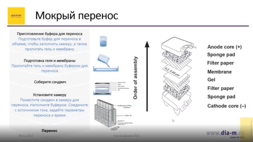 Мокрый перенос