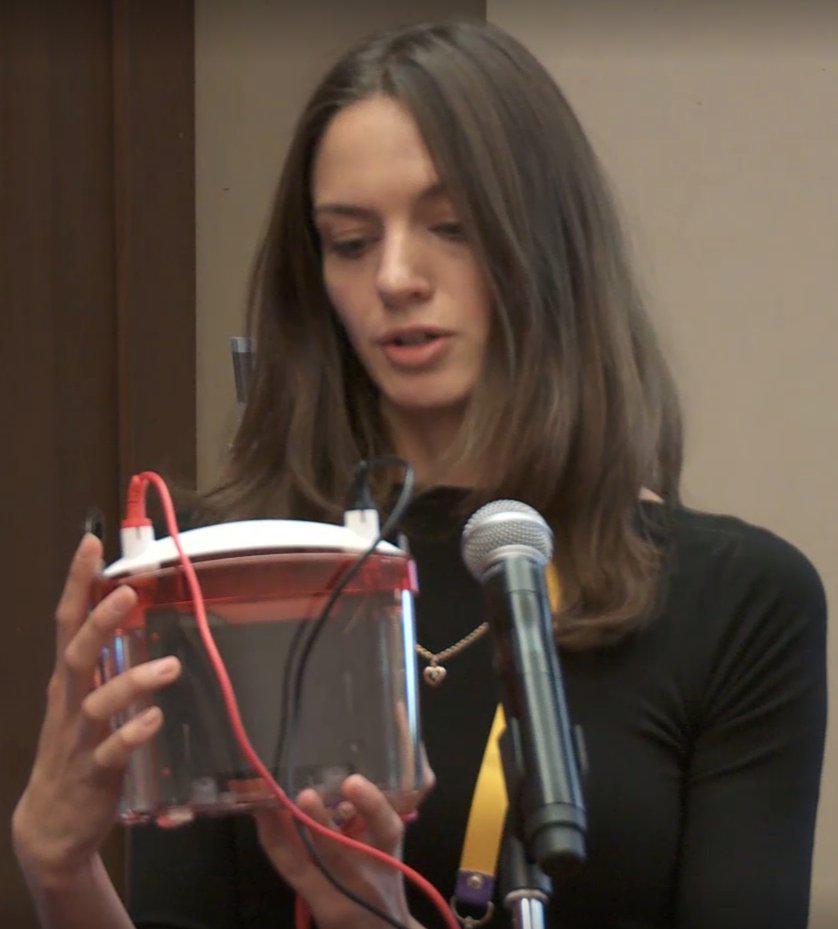 Камеры для проведения блоттинга