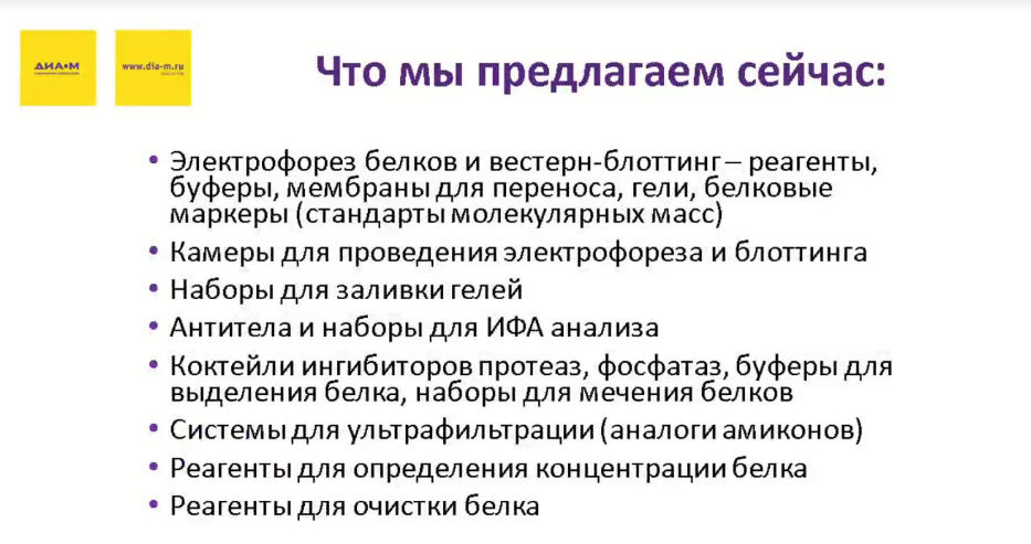 Что мы предлагаем сейчас