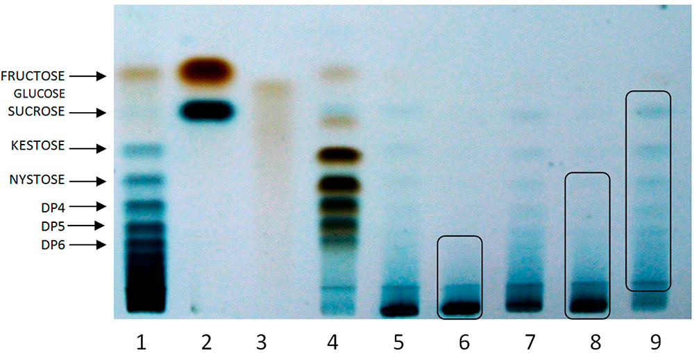 Тонкослойная хроматография: вертикальная гонка
