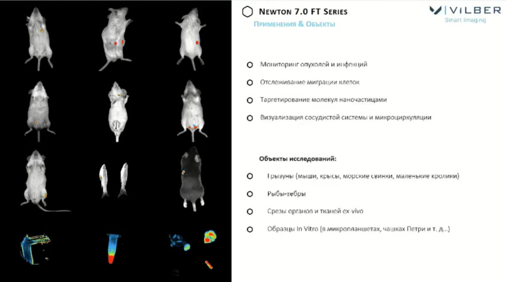Newton 7.0 FT Series