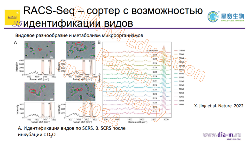 RACS-Seq - сортер с возможностью идетнификации видов