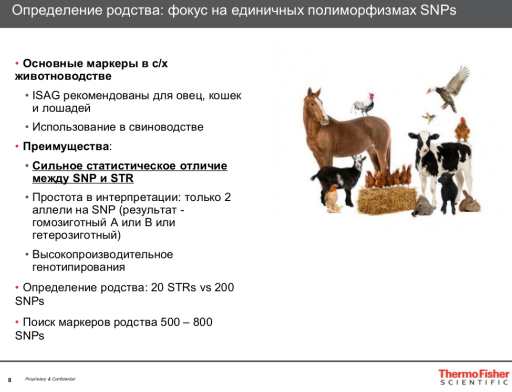 Определение родства