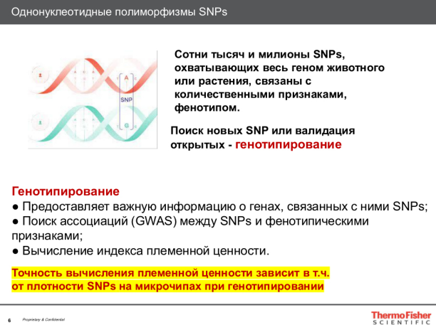 Однонуклеотидные полиморфизмы