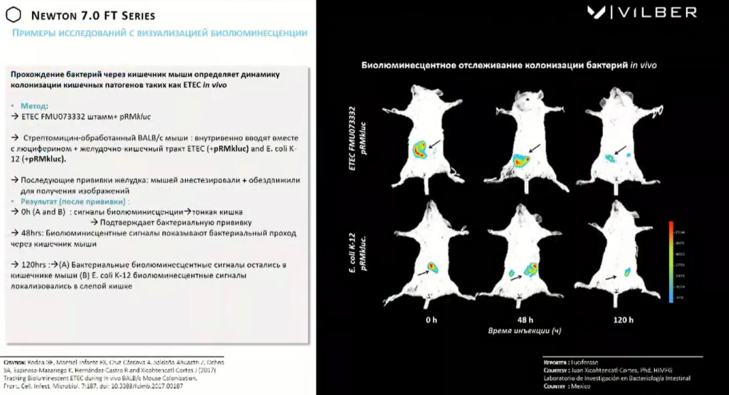Пример исследования с визуализацией биолюминесценции