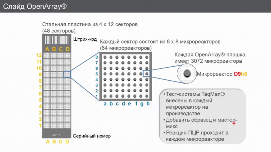 Формат OpenArray