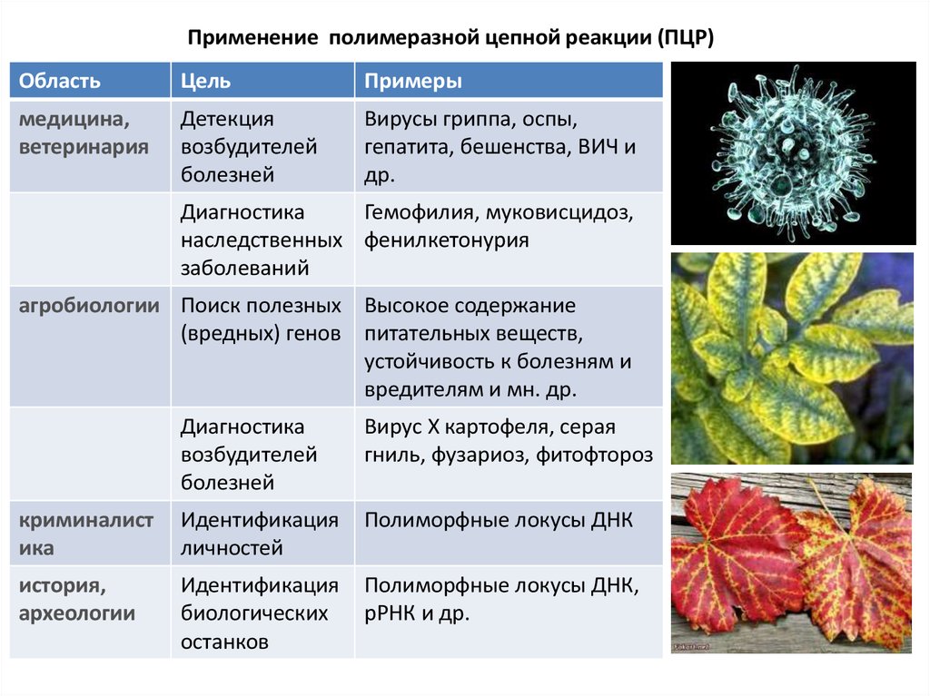slide-12.jpg
