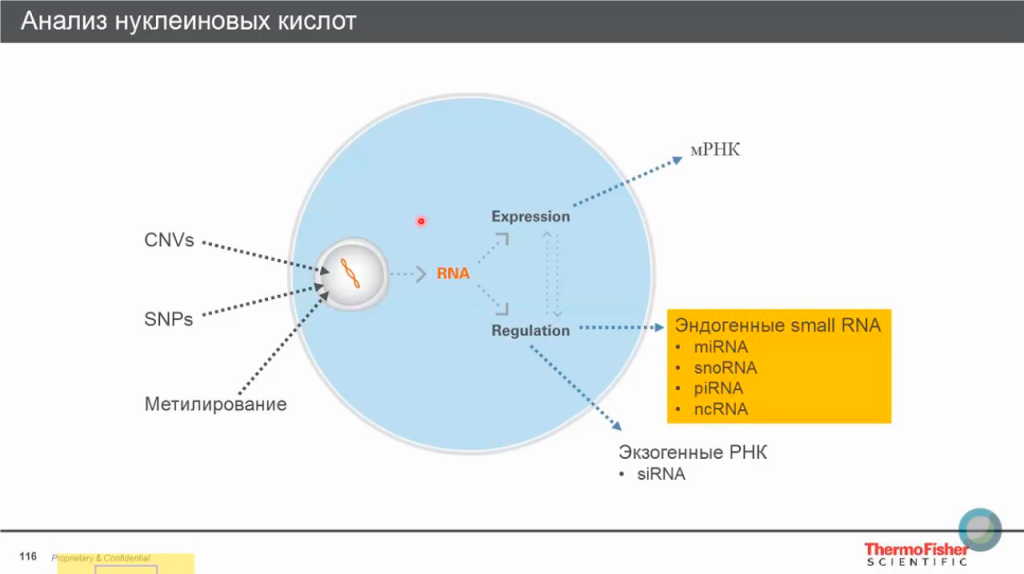 Анализ нуклеиновых кислот