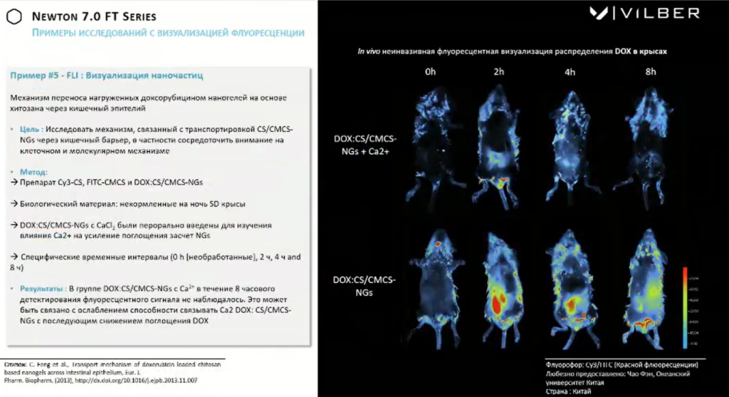 Примеры исследований с визуализацией флуоресценции