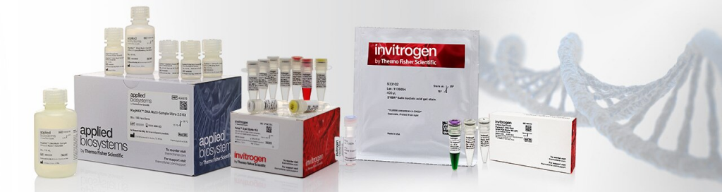 Thermo Fisher Scientific – мировой лидер в производстве реагентов для молекулярной биологии. Продукты для молекулярной биологии Thermo TS разработаны для обеспечения воспроизводимости и производительности в повседневных применениях, включая очистку и выделение нуклеиновых кислот, обратную транскрипцию, ПЦР, прямую ПЦР, электрофорез нуклеиновых кислот, гидролиз эндонуклеазами рестрикции и клонирование.