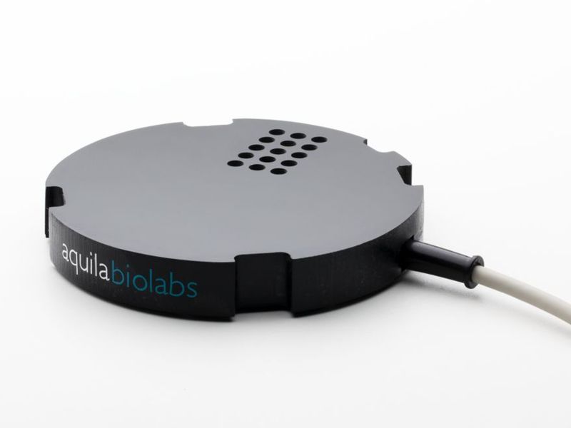 aquila_cgq_10_800x600.jpg