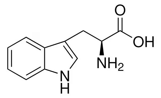 Триптофан-L / L-Tryptophan (From non-animal source)