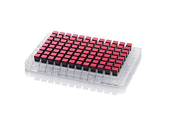 Микрочип Axiom для генотипирования лошадей (96-матричный формат, 670 000 маркеров)