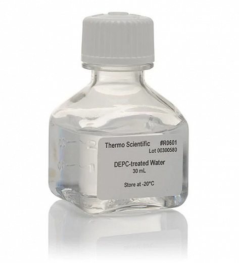 Вода, обработанная диэтилпирокарбонатом, свободная от ДНКаз и РНКаз, для работы с нуклеиновыми кислотами, Thermo FS