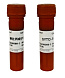 Набор для оценки жизнеспособности бактерий и дрожжей Live or Dead Bacterial/Yeast Viability Kit (SYTO-9/PI), Servicebio, Китай