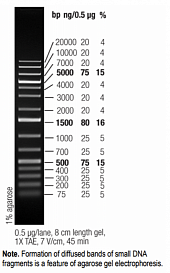 Маркер длин ДНК GeneRuler 1 kb Plus, 15 фрагментов от 75 до 20000 п.н., готовый к применению, 1 мкг/мкл