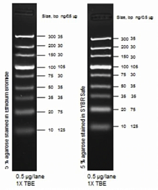 Маркер длин ДНК, Ultra Low Range, 9 фрагментов от 10 п.н. до 300 п.н., 0,5 мкг/мкл