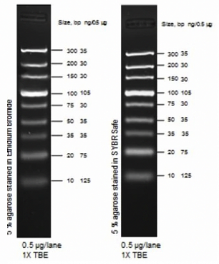 Маркер длин ДНК, Ultra Low Range, 9 фрагментов от 10 п.н. до 300 п.н., 0,5 мкг/мкл Фото 1