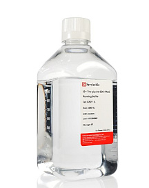 Буфер для электрофореза трис-глициновый с SDS, 10x концентрат, 1л, Servicebio, Китай