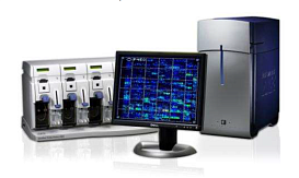 Система анализа нуклеиновых кислот, Геноскан 3000, Россия