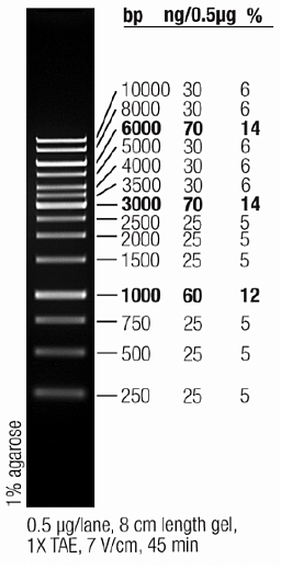 Маркер длин ДНК GeneRuler 1 kb, 14 фрагментов от 250 до 10000 п.н., готовый к применению, 0,5 мкг/мкл