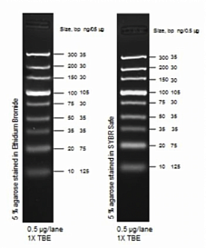 Маркер длин ДНК TrackIt Ultra Low Range, 9 фрагментов от 10 до 300 п.н; готовый к применению; 0,5 мкг/мкл