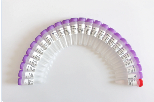 Набор индексированных праймеров и адаптеров для подготовки NGS библиотек VAHTS Dual UMI UDB Adapters for MGI, Vazyme, Китай