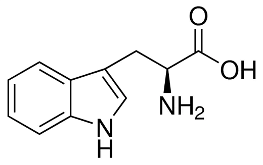 Триптофан - L,  pure EP, USP (pharma grade), Германия, NeoFroxx, 25 г