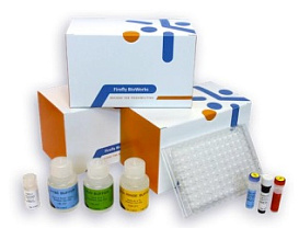 Панель для профилирования ми-РНК, Multiplex miRNA Assay Prostate Cancer Panel - Cellular