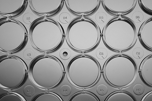 Планшеты культуральные (крупный план)