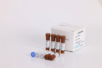 Wash kit, 6 реакций, Polyseq Biotech
