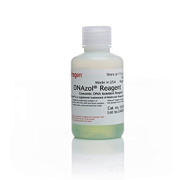 Реагент DNAzol BD для выделения геномной ДНК из цельной крови, Thermo FS