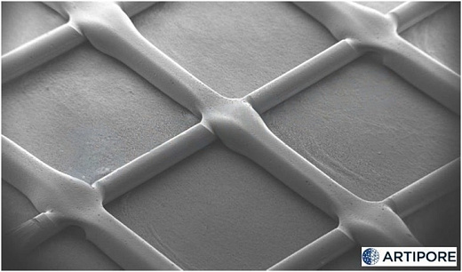 Диски для 3D культивирования полученные методом электроформования, невыровненные нановолокна, материал нанесен радиально, толщина подложки 30 мкм, 48 луночный планшет