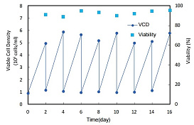 Бессывороточные среды для клеток MDBK, Bioengine, Китай