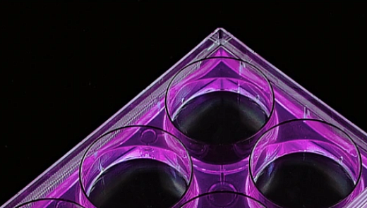 Планшеты культуральные 6-лун. EDGE (крупный план), Nest, Китай