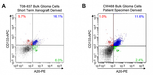 Набор для конъюгации антител PE / R-Phycoerythrin Conjugation Kit, Lightning-Link Фото 7