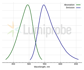 Спектры поглощения и эмиссии dsGold (комплекс с дцДНК)