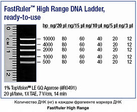 Маркер длин ДНК, FastRuler High Range, 5 фрагментов от 500 до 10000 п.н., готовый к применению