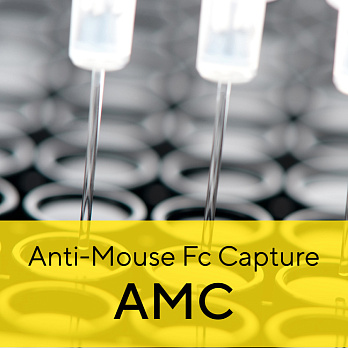 Набор биосенсоров Anti-Mouse Fc Capture (AMC), ForteBio, Sartorius
